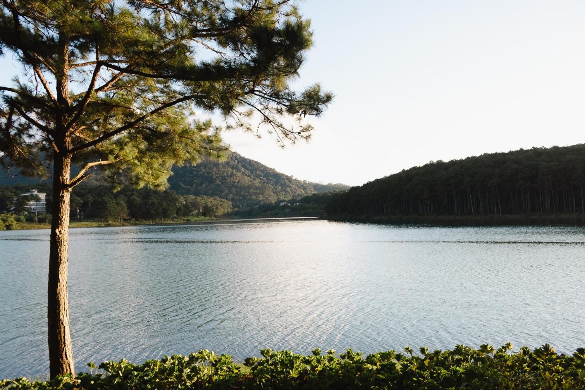 Terracotta Hotel & Resort Dalat Εξωτερικό φωτογραφία