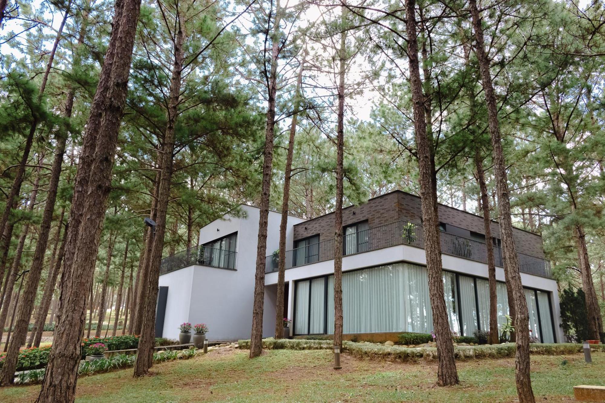 Terracotta Hotel & Resort Dalat Εξωτερικό φωτογραφία