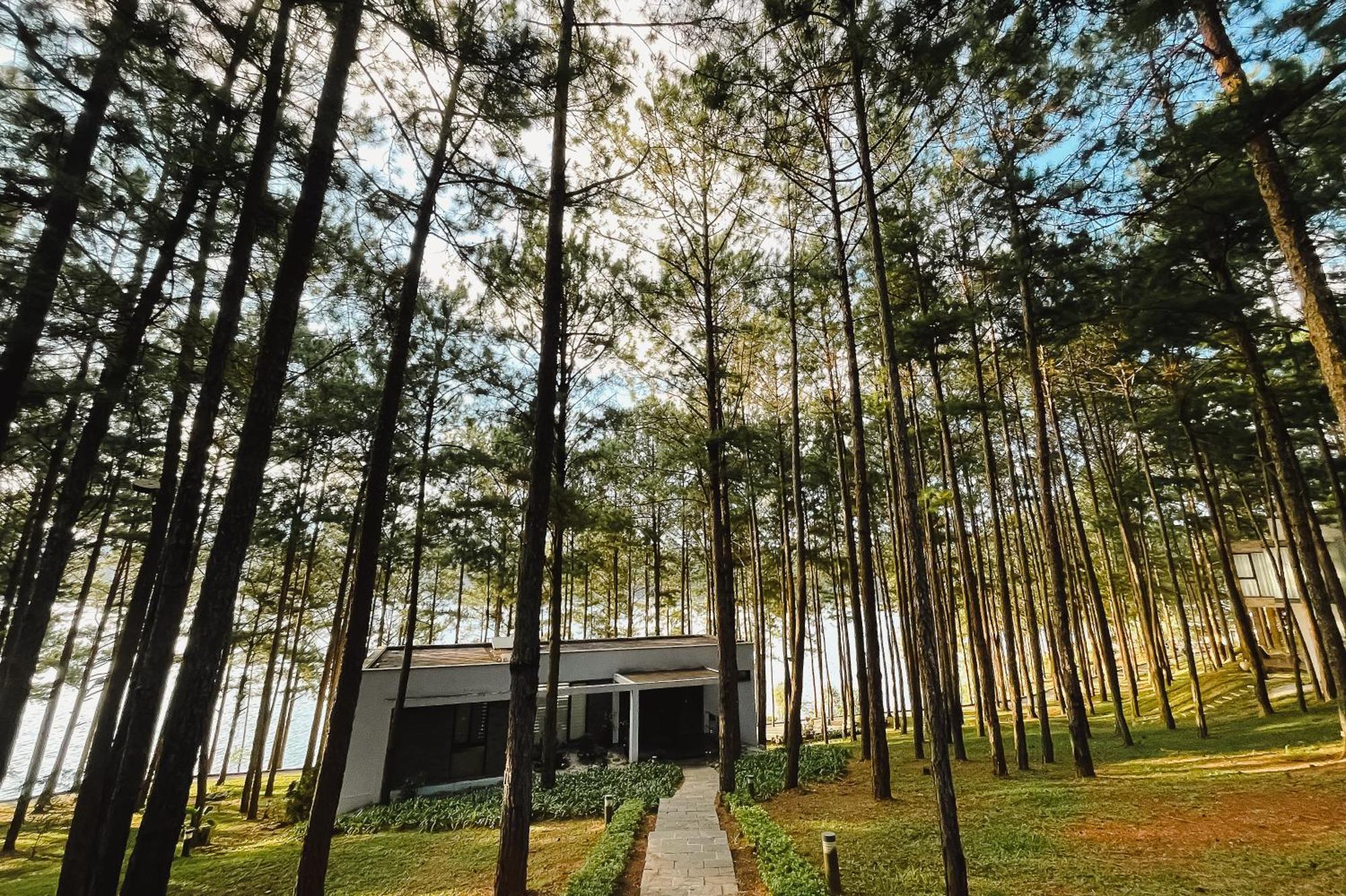 Terracotta Hotel & Resort Dalat Εξωτερικό φωτογραφία